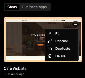 Project card menu showing Pin, Rename, Duplicate and Delete options.