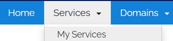 LetsHost Client Area navigation showing Services and the My Services option.