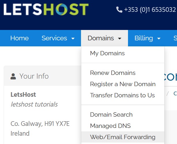 Doamins > Web/Email forwarding